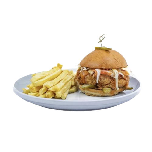 Homestyle Burger with Fries